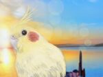  animal_focus beak bird black_eyes blue_sky blurry blurry_background cockatiel commentary feathers gradient_sky highres lens_flare looking_at_viewer no_humans ocean orange_sky original parrot realistic shiropooo sky sunset upper_body yellow_feathers 