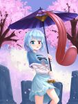  1girl absurdres blue_capelet blue_eyes blue_skirt capelet cherry_blossoms commentary cross-laced_clothes english_commentary feet_out_of_frame heterochromia highres holding holding_umbrella karakasa_obake looking_at_viewer outdoors purple_umbrella pygrenix shirt skirt solo tatara_kogasa tombstone tongue tongue_out touhou tree umbrella violet_eyes white_shirt wild_and_horned_hermit 