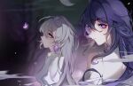  2girls absurdres bare_tree black_hair bronya_rand bug butterfly closed_mouth colored_inner_hair crescent_moon earrings expressionless facing_to_the_side grey_hair highres honkai:_star_rail honkai_(series) jewelry linnoko long_hair looking_at_viewer looking_back looking_up moon multicolored_hair multiple_girls night night_sky purple_butterfly purple_hair seele_(honkai:_star_rail) sky tree violet_eyes yellow_eyes 
