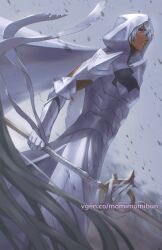  1boy 1girl armor blue_eyes breastplate cape dark-skinned_male dark_skin fire_emblem fire_emblem:_fortune's_weave gauntlets green_hair highres holding holding_polearm holding_weapon hood hood_up long_hair male_eshmel_(fire_emblem) momimomibun orchel_(fire_emblem) pauldrons polearm short_hair shoulder_armor solo_focus spear weapon white_cape white_hair white_hood 