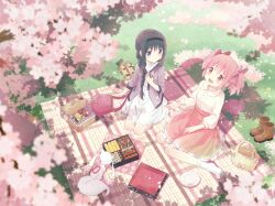  2girls akemi_homura bag basket bento black_hair black_hairband blush boots bow cherry_blossoms closed_mouth collared_shirt commentary_request day dress food frilled_skirt frills full_body grass hair_bow hairband highres iso_usagi kaname_madoka kyubey long_hair mahou_shoujo_madoka_magica mahou_shoujo_madoka_magica_(anime) multiple_girls open_mouth outdoors picnic pink_bow plate red_eyes red_skirt shirt short_hair short_twintails sitting skirt socks sushi three-quarter_sleeves twintails unworn_boots violet_eyes wariza white_dress white_shirt white_socks 