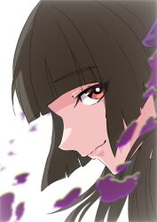  absurdres blunt_bangs brown_eyes brown_hair close-up closed_mouth commentary_request from_side highres long_hair looking_at_viewer petals profile purple_petals shine_post simple_background smile white_background yakushiin_asuka you48aaaa 