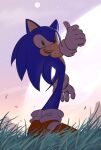  1boy chaosrice furry gloves grass green_eyes highres looking_at_viewer male_focus open_mouth outdoors shoes sky solo sonic_(series) sonic_the_hedgehog standing teeth thumbs_up white_gloves 