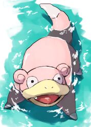  animal_focus commentary_request fangs full_body highres kou11021301 no_humans nostrils open_mouth partially_submerged pokemon pokemon_(creature) pokemon_focus slowpoke smile solo water 