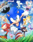  amy_rose blaze_the_cat blue_sky chao_(sonic) cheese_(sonic) clouds cream_the_rabbit cubot dr._eggman flying furry furry_female furry_male gloves grass knuckles_the_echidna metal_sonic open_mouth orbot outdoors rouge_the_bat shadow_the_hedgehog shoes silver_the_hedgehog sky sonic_(series) sonic_the_hedgehog tails_(sonic) tondamanuke white_gloves 