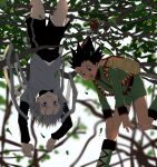  2boys backpack bag black_hair blue_eyes blush brown_eyes fishing_rod gon_freecss green_footwear green_jacket green_shorts highres hunter_x_hunter jacket kasukasugom1 killua_zoldyck layered_sleeves long_sleeves male_child male_focus multiple_boys on_tree outdoors shirt short_hair short_over_long_sleeves short_sleeves shorts smile spiky_hair upside-down white_hair white_shirt 