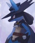  1boy animal_ears animal_hands arm_at_side black_fur black_headwear blue_cape blue_fur body_fur cape closed_mouth clothed_pokemon commentary cosplay ears_through_headwear from_side furry furry_male hand_on_own_hip hat highres ikei looking_to_the_side lucario male_focus multicolored_fur poke_ball_theme pokemon pokemon:_lucario_and_the_mystery_of_mew pokemon_(anime) pokemon_(creature) pokemon_rse_(anime) profile purple_background red_eyes sash simple_background sir_aaron sir_aaron_(cosplay) snout solo spikes standing symbol-only_commentary upper_body wolf_boy wolf_ears yellow_fur 