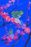  airily animal animal_focus artist_name bird blue_background branch colorful english_commentary flower highres no_humans original pink_flower plum_blossoms simple_background 
