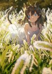  1girl animal_ears black_hair blue_eyes cat_ears cat_girl cat_tail dress grass highres long_hair looking_at_viewer original outdoors plant potg_(piotegu) signature solo tail white_dress 