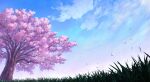  blue_sky branch cherry_blossoms clouds cloudy_sky falling_leaves grass leaf morning no_humans original plant scenery sky tree yu02257951 