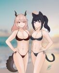  abs absurdres beach bikini cat_girl dragon_girl highres non-web_source original swimsuit 
