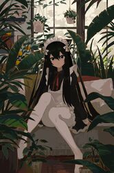  1girl absurdres animal_ears apron black_eyes black_hair black_shirt blush bow cat_ears cat_girl cat_tail closed_mouth collared_shirt conservatory couch day fern full_body hair_between_eyes hair_bow hanging_plant highres indoors kgt_(pixiv12957613) knees_up light_frown long_hair long_sleeves looking_at_viewer maid maid_headdress nature neck_ribbon no_shoes original pantyhose picture_frame plant potted_plant red_ribbon ribbon shirt sidelocks sitting sleeve_cuffs solo table tail vase white_apron white_bow white_pantyhose window 