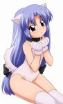  animal_ears begging blue_hair character_request collar dog_ears dog_tail gloves highres inumimi leotard lost_universe solo sugimura_tomokazu tail thighhighs wave_ride 
