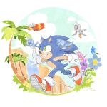  1boy aircraft airplane bird blue_flower clouds dated finik flower furry furry_male gloves grass highres outdoors palm_tree purple_flower running shoes signature solo sonic_(series) sonic_the_hedgehog tree white_gloves 