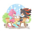  1boy 1girl character_request cup dated drinking_glass drinking_straw finik from_side furry furry_female furry_male heart highres on_chair plant potted_plant shadow_the_hedgehog shoes signature sitting sonic_(series) table 