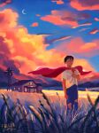  1boy aged_down black_hair cape clark_kent clouds cloudy_sky curly_hair dc_comics denim fallen-jpg highres house jeans looking_up pants parted_lips red_cape shirt short_hair short_sleeves signature sky star_(sky) starry_sky sunset superman superman_(series) torn_clothes wheat_field white_shirt wind windmill 