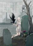  1girl albino bare_legs bare_shoulders bare_tree barefoot bird bird_on_hand black_bird blue_flower building commentary_request crow dress feathered_wings flower full_body gas_mask grass grave graveyard highres jittsu kneeling long_hair looking_at_viewer mask original parted_lips plant potted_plant red_eyes red_flower russian_text sleeveless sleeveless_dress solo tombstone tree white_dress white_hair wings 