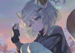  1girl animal_ear_fluff animal_ears black_gloves blue_archive blush closed_mouth commentary_request dokomon feet_out_of_frame gloves grey_hair grey_jacket hair_between_eyes hair_ornament hairclip halo hand_up highres holding jacket knees_up korean_commentary looking_away outdoors pantyhose shigure_(blue_archive) sky solo squatting tail violet_eyes white_pantyhose 