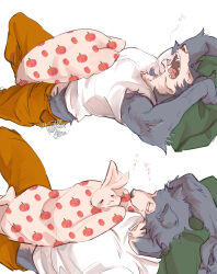  absurdres animal_ears artist_request bad_id bad_pixiv_id beastars closed_eyes closed_mouth couple english_text fangs furry furry_female furry_male girl_on_top haru_(beastars) height_chart highres legoshi light_smile looking_down lying muscular muscular_male on_back open_mouth pants rabbit_ears rabbit_girl shirt smug tearing_up under_covers white_background white_shirt wolf_boy wolf_ears yawning 