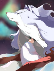  1boy animal_ear_fluff aurora black_hair blue_fur closed_eyes commentary_request doodle_blue13 feru_(tonsuki) green_eyes leaning_forward leaning_on_animal mukouda_tsuyoshi night outdoors short_hair sleeping snout snow tondemo_skill_de_isekai_hourou_meshi two-tone_fur white_fur wolf wrapped_in_blanket 