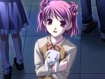  :d bell_collar blush collar crossed_arms dark dog double_bun ever_17 flat_chest frills game_cg hair_bobbles hair_ornament holding jingle_bell kneehighs open_mouth pantyhose pink_eyes pink_hair puppy raglan_sleeves ribbon shadow shoes short_hair skirt smile standing takigawa_yuu yagami_coco 