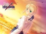 dutch_angle fate/hollow_ataraxia fate/stay_night fate_(series) saber smile sunset type-moon wallpaper 