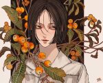  1boy bob_cut branch brown_eyes brown_hair closed_mouth collared_shirt commentary food fruit highres kagoya1219 lapels leaf loquat male_focus notched_lapels original parted_hair plant sanpaku shirt short_hair signature solo upper_body white_shirt 