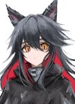  1girl 3_(sanyako1) absurdres animal_ears arknights black_capelet black_hair capelet closed_mouth highres long_hair looking_at_viewer multicolored_hair orange_eyes redhead solo texas_(arknights) two-tone_hair upper_body wolf_ears 