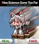  1girl all_fours animal_ears blue_sky burger chibi commentary english_text flying food full_body grey_hair has_science_gone_too_far?_(meme) hat inubashiri_momiji kasuya_baian long_sleeves meme open_mouth red_eyes red_headwear ribbon-trimmed_sleeves ribbon_trim shirt short_hair sky smile solo tail tokin_hat touhou white_shirt wolf_ears wolf_tail 