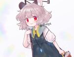  1girl biyon nazrin solo touhou 