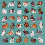  animal animal_focus aqua_background artist_name black_eyes commentary english_commentary english_text no_humans original pikaole rabbit simple_background watermark 