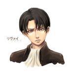  1boy ascot black_hair brown_jacket closed_mouth greenteaa grey_eyes jacket levi_(shingeki_no_kyojin) looking_at_viewer male_focus portrait shingeki_no_kyojin shirt short_hair simple_background solo translated white_ascot white_background 