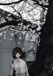  1girl absurdres bag belt black_eyes black_hair branch collared_shirt handbag highres original outdoors scenery shirt short_hair solo tree uniunimikan wall white_shirt 