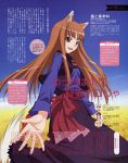   animal_ears holo open_mouth spice_and_wolf tail  