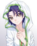  1boy adjusting_clothes blue_hair closed_mouth coat gradient_background grey_background hand_up head_tilt highres hooded_coat kumu_zaisheng liu_xing_(tou_xing_jiuyue_tian) long_sleeves looking_to_the_side parted_bangs short_hair smile solo tou_xing_jiuyue_tian upper_body white_background white_coat yellow_eyes 