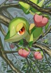  ame_akira branch closed_mouth commentary_request food fruit highres leaf looking_at_viewer no_humans orange_eyes outdoors pokemon pokemon_(creature) smile snivy solo 