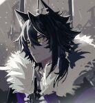  1boy absurdres animal_ears arknights bishounen black_hair coat ear_piercing fur_collar highres kikan_(kikanoe) male_focus piercing purple_coat short_hair solo tagme upper_body vigil_(arknights) wolf_boy wolf_ears yellow_eyes 