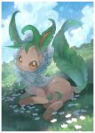  border brown_eyes clouds commentary_request day flower grass highres kikuyoshi_(tracco) leafeon lying no_humans outdoors pokemon pokemon_(creature) signature sky solo white_border white_flower 