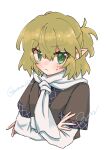  1girl amami_(ama333) blonde_hair blush breasts brown_shirt closed_mouth commentary crossed_arms frown green_eyes hair_between_eyes half_updo highres layered_sleeves long_sleeves looking_at_viewer medium_bangs mizuhashi_parsee scarf shirt short_hair short_over_long_sleeves short_sleeves simple_background small_breasts solo touhou twitter_username upper_body white_background white_scarf 