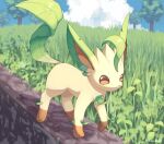  animal_focus brown_eyes clouds commentary_request day grass highres ibusaki_(ivu) leafeon looking_at_viewer no_humans outdoors pokemon pokemon_(creature) sky solo standing tree 