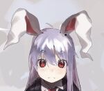  1girl ahoge closed_mouth commeowdore english_commentary expressionless grey_background hair_between_eyes jacket light_blush long_hair looking_at_viewer necktie purple_hair red_eyes reisen_udongein_inaba simple_background solo textless_version touhou upper_body white_background wing_collar 