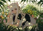  1girl absurdres animal_ear_fluff animal_ears apron arm_rest black_shirt black_skirt branch bush cat_ears cat_girl cat_tail closed_mouth day flower frilled_apron frilled_skirt frills greenhouse hand_up highres indoors kgt_(pixiv12957613) long_bangs looking_at_viewer lying maid maid_headdress neck_ribbon on_side original pantyhose paw_pose plant pleated_skirt puffy_short_sleeves puffy_sleeves raised_eyebrows red_flower red_ribbon red_tulip ribbon shirt short_sleeves sidelocks skirt smile solo tail tulip violet_eyes white_apron white_flower white_hair white_pantyhose white_tulip window 