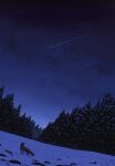 commentary_request dutch_angle forest fox gensuke_(ryun) highres nature night night_sky no_humans original outdoors scenery shooting_star sky snow star_(sky) starry_sky tree winter 