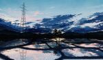  bird blue_sky clouds commentary_request evening gensuke_(ryun) highres nature no_humans original outdoors power_lines reflection rice_paddy scenery sky transmission_tower tree 