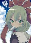  1girl blue_sky clouds commentary_request food_in_mouth frilled_ribbon frills front_ponytail green_eyes green_hair hair_ribbon kagiyama_hina looking_at_viewer medium_hair popsicle_in_mouth red_ribbon ribbon sky solo squiggle touhou upper_body yamase 