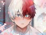  1boy akira_aishi artist_name blue_eyes blurry blurry_background blush boku_no_hero_academia branch bright_pupils burn_scar cherry_blossoms collared_shirt commentary english_commentary eyes_visible_through_hair falling_petals flower grey_eyes hair_between_eyes heterochromia highres indoors looking_ahead lovestruck male_focus multicolored_hair pac-man_eyes parted_lips petals pink_flower portrait redhead scar scar_on_face shirt short_hair shouji sliding_doors solo split-color_hair todoroki_shouto two-tone_hair white_hair white_pupils white_shirt wing_collar 