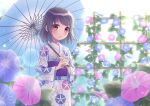  1girl black_hair blurry blush bokeh depth_of_field flower holding holding_umbrella ibuki_ena japanese_clothes kimono long_sleeves looking_at_viewer morning_glory obi oil-paper_umbrella original parted_lips sash short_hair solo sunlight trellis umbrella violet_eyes yukata 