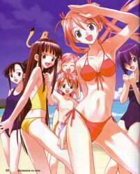  albert_chamomile bikini chamo kagurazaka_asuna konoe_konoka mahou_sensei_negima miyazaki_nodoka negi_springfield sakurazaki_setsuna sasaki_makie swimsuit 