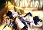  fate/stay_night mekongdelta saber tex-mex type_moon 