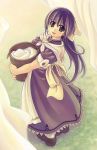 1girl absurdres basket carrying copyright_request dress from_above highres long_hair ragnarok_online solo standing xration 